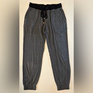 Banana Republic Woman’s Sweatpants. Gray Woman’s XXS